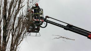 Zdjęcie ilustracyjne