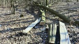 W trakcie wycinki drzewo przygniotło mężczyznę. Do szpitala zabrał go helikopter