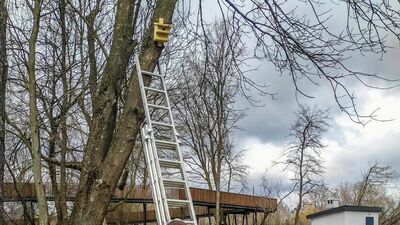 Biała Podlaska. Więcej budek lęgowych dla ptaków