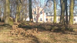 Zdjęcia z efektów prac ogrodniczych przesłane nam przez mieszkankę Węglina