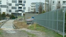 Budowę zaczęto już według zmienionej dokumentacji. W pobliżu drzewa zbudowano z betonowych elementów palisadę, która miała zapewnić stabilność skarpy