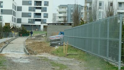 Budowę zaczęto już według zmienionej dokumentacji. W pobliżu drzewa zbudowano z betonowych elementów palisadę, która miała zapewnić stabilność skarpy