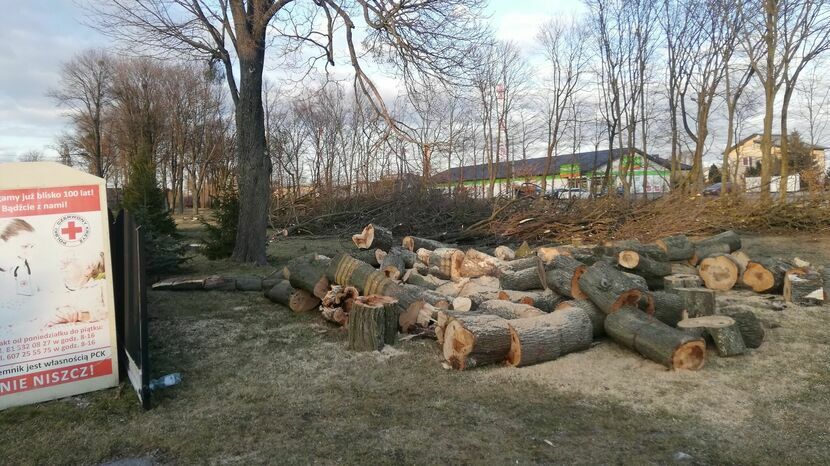 Wycinka drzew w Turobinie nie wszystkim się spodobała. Zdjęcia z Parku Strażackiego, zamieszczone w mediach społecznościowych, opatrzono krytycznym wobec tych działań podpisem.