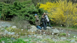 3 maja podczas spaceru po Ogrodzie Botanicznym będzie można poznać naszą historię i podpatrzeć historyczną rekonstrukcję