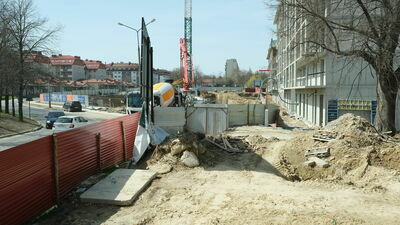 Po drzewach przy ul. Jutrzenki nie ma już śladu. Decyzja w sprawie ich wycinki w ogóle nie powinna być wydana – orzekło Samorządowe Kolegium Odwoławcze w Lublinie