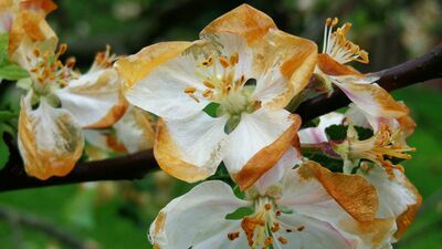 Lubelskie. Ostrzeżenie pogodowe ważne dla rolników i działkowców