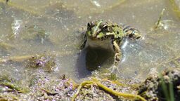 Polskie rzeki pełne leków. I to nie jest dobra wiadomość