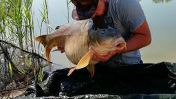 Chwila dla fotografa i do wody. Tu złowionych ryb się nie zabija