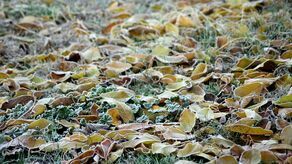 Lubelskie. Ostrzeżenie pogodowe dla części regionu