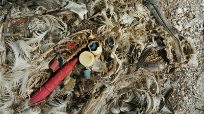 Powstanie statek zbierający śmieci