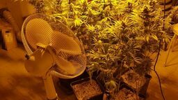 Lubelskie. Miał „dwa etaty”. W piwnicy ten nielegalny