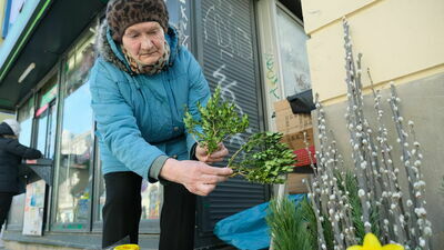 Kilkaset krzaków mi uschło – żali się pani Elżbieta, którą spotkaliśmy wczoraj, sprzedającą w centrum Lublina m.in. bukszpan, chrzan i dekoracje wielkanocne