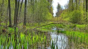 Lubelskie. Wiosna w obiektywie naszego Czytelnika