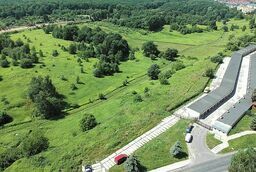 Drzewa nie mogą być wrogiem miast. NIK chce zmiany prawa, po analizie tego co z zielenią robi Lublin i inne miasta