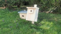 W Lublinie zamontują budki dla ptaków, żeby ludziom też było lżej