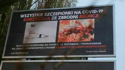 Społeczny komitet, który zabiegał o uchwalenie zakazu, chciał w ten sposób walczyć z prezentowaniem na ulicach drastycznych zdjęć, po jakie sięgają przeciwnicy aborcji