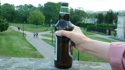 Jedna ze stref miałaby powstać na Błoniach obok Zamku