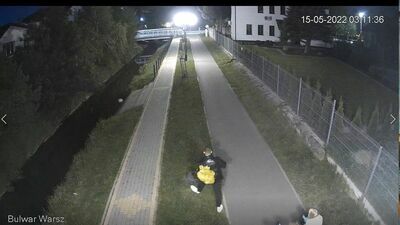 Wandal zniszczył drzewko i ośmieszył się w internecie. A do tego złapała go policja 