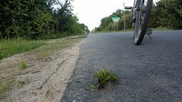  Mieszkaniec uważa, że gminne inwestycje powinny być wykonywane staranniej 