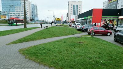 Przy ul. Zana, gdzie dzisiaj jest tylko niepozorny trawnik, będzie można czekać na autobus w otoczeniu pnączy, kwitnących róż i ozdobnych traw