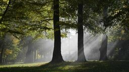 Park w Karczmiskach to miejsce gdzie władze gminy chcą postawić sporną tężnię