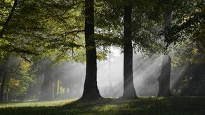 Park w Karczmiskach to miejsce gdzie władze gminy chcą postawić sporną tężnię