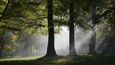 Park w Karczmiskach to miejsce gdzie władze gminy chcą postawić sporną tężnię