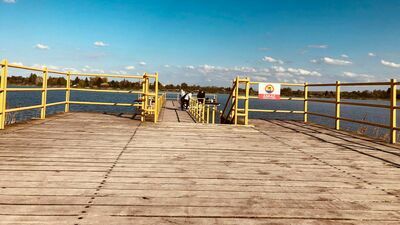 Zamojski zalew jest popularny wśród mieszkańców miasta. Chętnie spędzają tutaj słoneczne dni, nie tylko latem