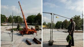 Wycinka topoli czarnej na pl. Litewskim