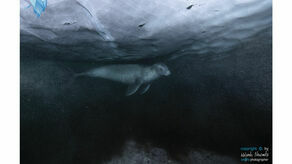 XLI Zamojskie Spotkanie z Fotografią. Wojciech Nawrocki w roli głównej