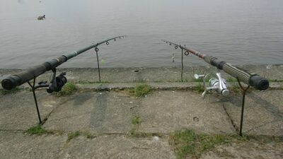 Zdjęcie ilustracyjne