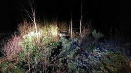 BMW w rowie. Kierowca ukrył się w zaroślach. Wiadomo dlaczego