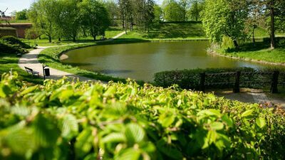 Wiosną każdego roku do stawu w Parku Miejskim w Zamościu trafiają tysiące małych rybek. Gdy podrosną, są przenoszone do zbiorników otwartych i dopiero tam można je łapać na wędkę