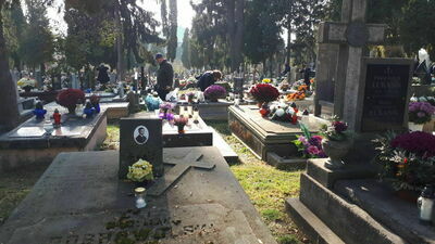 Zdjęcie ilustracyjne