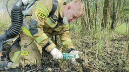Mł. asp. Bartosz Skrzypek z Komendy Powiatowej PSP w Krasnymstawie. Strażacy z OSP Brzeziny przewieźli małe sarenki do Ośrodka Rehabilitacji Dzikich Zwierząt w Skrzyniach Drugich
