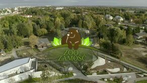 Zamość. ZOO zaprasza do siebie do kina