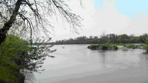 Kępa Gostecka, przy wale przeciwpowodziowym rzeki Wisły odc. Wał Letni Radomski. 19 maja spotkali się tu przedstawiciele PGW Wody Polskie z Radomia i Lipska oraz samorządowcy z Łazisk