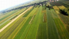 Zielone Agro Show. Coś specjalnie dla rolników już w ten weekend
