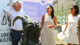 Lublin ma nowego mieszkańca. Staś ukrył się koło szpitala