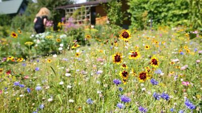 Zdjęcie ilustracyjne