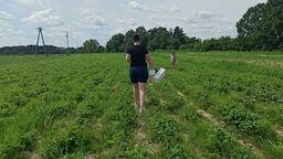 Sezon na truskawki. Jak wydać na owoce 200 zł zamiast 450