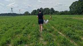 Sezon na truskawki. Jak wydać na owoce 200 zł zamiast 450