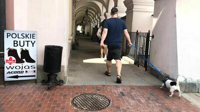 Jak wygląda Strefa A, czyli rejon Starego Miasta w Zamościu, które w myśl uchwały krajobrazowej powinno być już dawno pozbawione reklamowego chaosu? Niestety, nie najlepiej. Ale urzędnicy zapowiadają, że teraz biorą się ostro za egzekwowanie przepisów. 