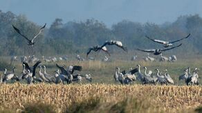 Specjalna wyprawa ratunkowa dla Polesia. Można się jeszcze zgłosić