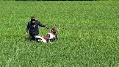 „Wracaj, wracaj. Dzwonię na policję”. Pijany motocyklista po wypadku uciekł w pole. Nagranie wideo