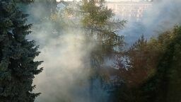 Zamgławiacze na samochodach to urządzenia o dużej wydajności, które są w stanie w szybkim tempie zadymić oparami z trucizną na owady całe osiedla