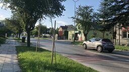 Przy ul. św. Piątka wycięto w zeszłym roku sporo głogów. Bo podobno były chore. Teraz rosną tam nowe drzewka, ale nie wszystkie się przyjęły.