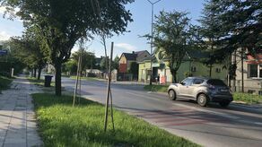 Przy ul. św. Piątka wycięto w zeszłym roku sporo głogów. Bo podobno były chore. Teraz rosną tam nowe drzewka, ale nie wszystkie się przyjęły.