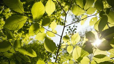 Zdjęcie ilustracyjne