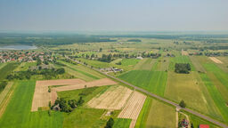 DK19 na wysokości Borek